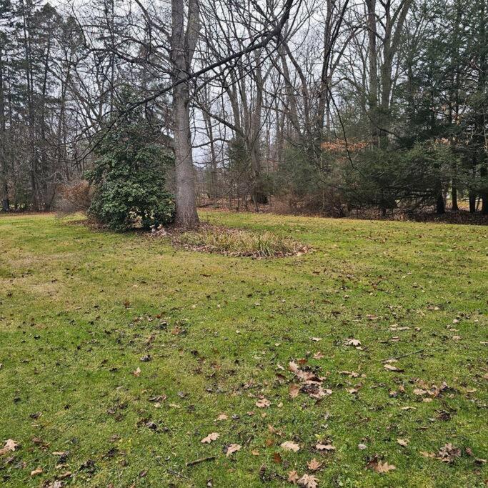 Follys End, Ligonier @ Linn Run *